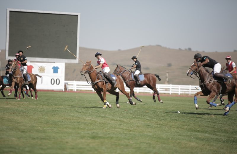 Статус конного спорта «Поло» укрепляется в Алматинской области