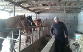 ЕҢБЕКТІҢ ТЕРІ АЩЫ,  ДӘМІ ТӘТТІ