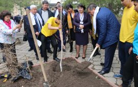 Посади свое дерево!