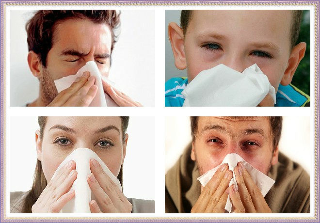 Аллергиямен арпалыс: Дәстүрлі ем һәм медицина