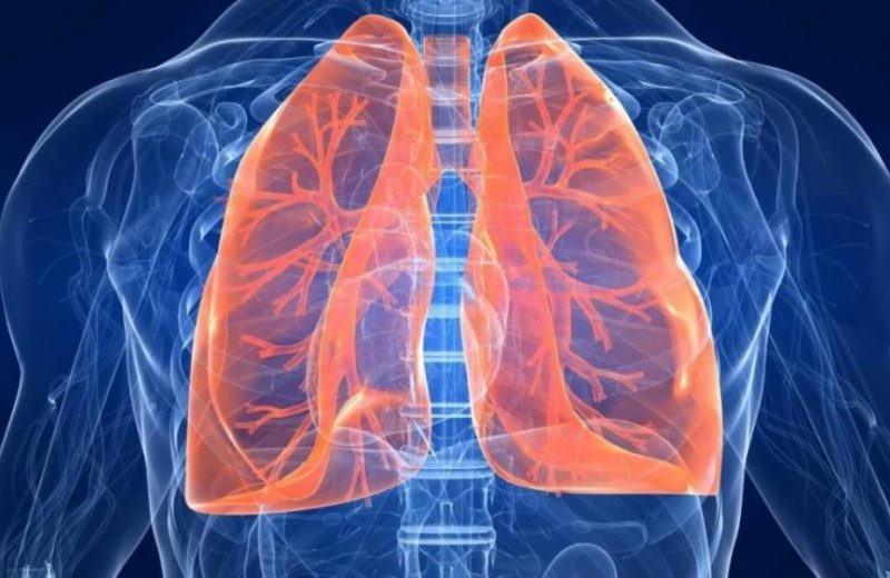 Современные методы ускоренной диагностики туберкулеза