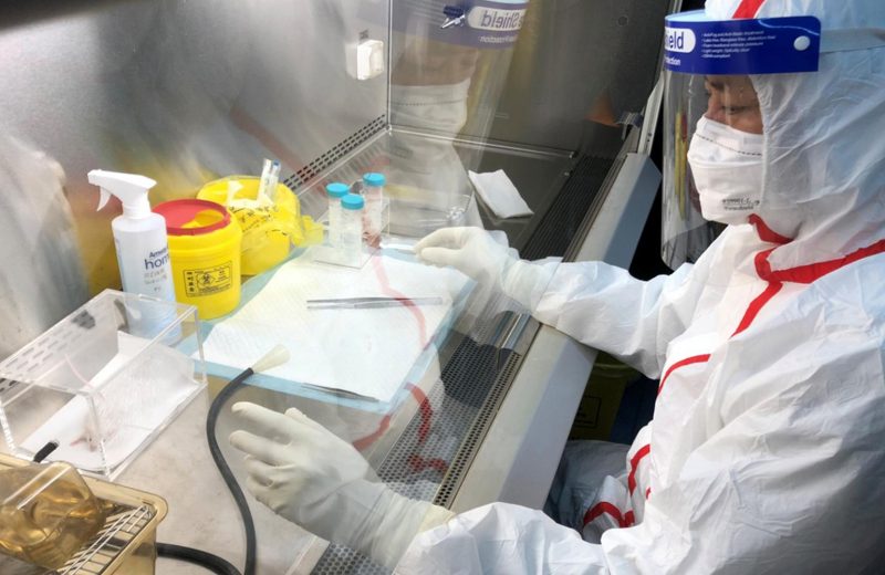 Алматы облысында коронавирус инфекциясын жұқтырған 5 адам тіркелді