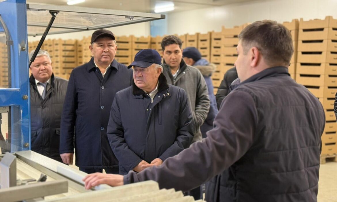 Инфраструктура хранения овощей высокая