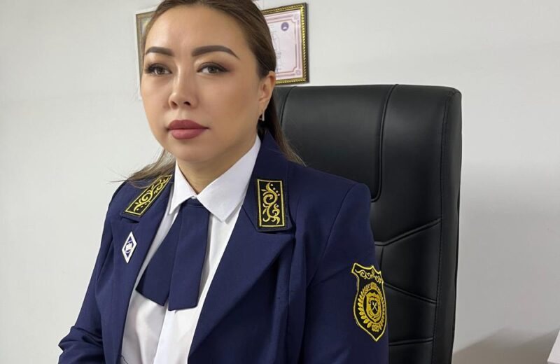 Мемлекеттік басқарудың жаңа моделі