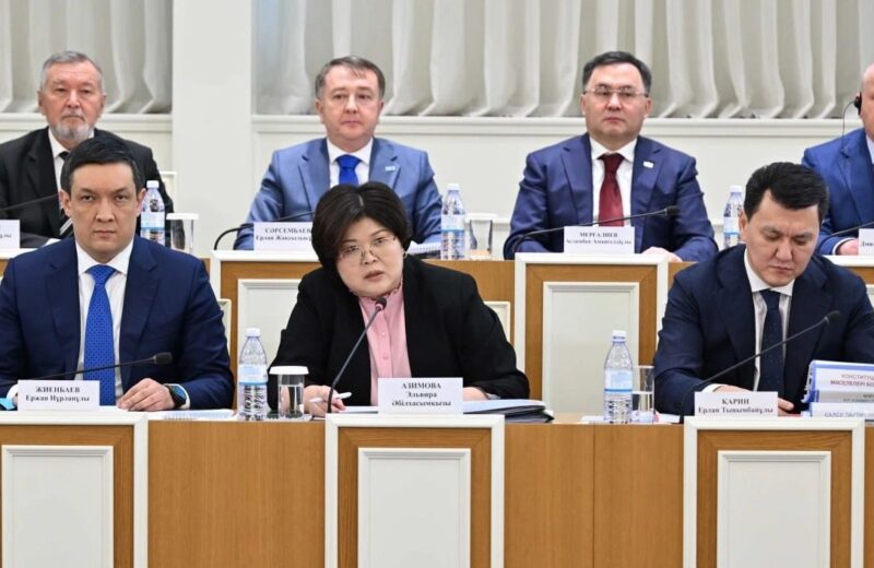 Конституциялық реформа аясында сөз бостандығы мен бейбіт жиналыстарға құқықтық кепілдіктер бұрынғы көлемде сақталады — депутат Никита Шаталов