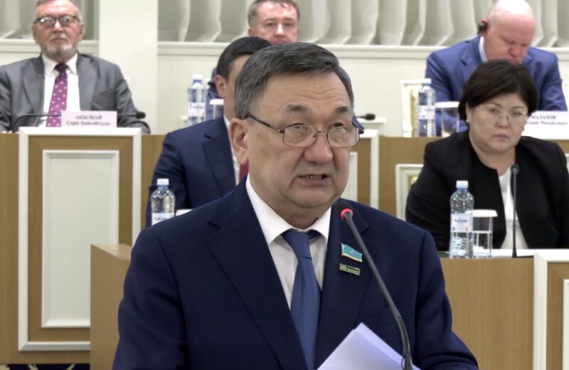 Депутат экологиялық құндылықтарды Ата Заңда ұлттық басымдық деп бекітуді ұсынды