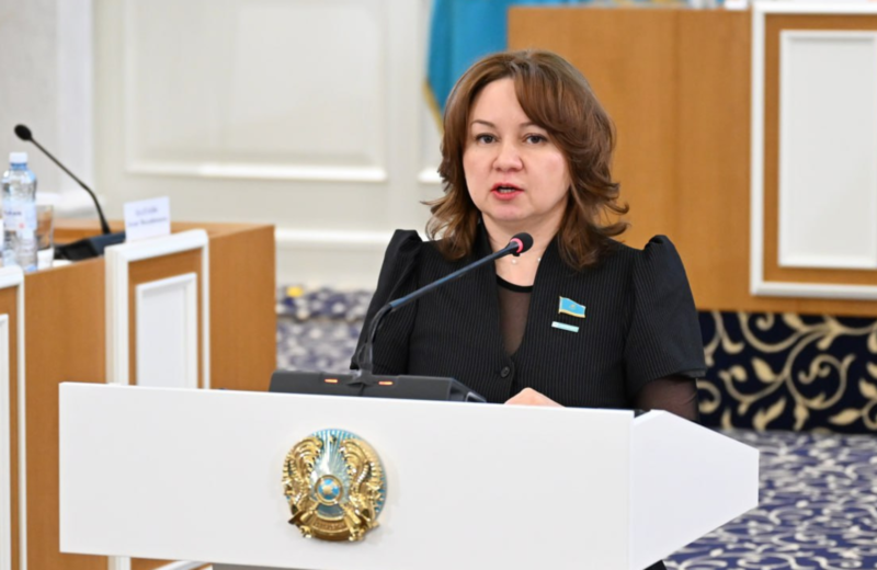 Жаңа Конституцияда өтпелі кезеңнің барлық рәсімдері, мерзімдері мен регламенттері жазылды