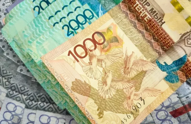 Тенге должен быть защищен Конституцией – Нуртай Сабильянов