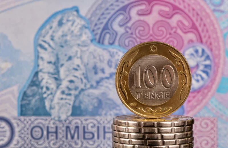 Жаңа Конституцияның жобасына теңгені ұлттық валюта ретінде бекітетін норма енгізілді – Бақыт Нұрмұханов