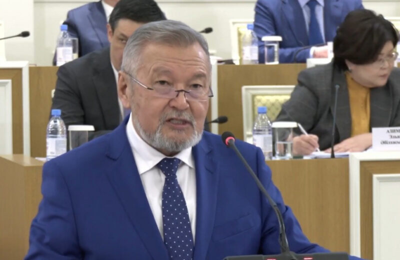 Белгілі заңгер Жаңа Конституция жобасын бүкілхалықтық референдумға шығару туралы ұсынысты қолдады